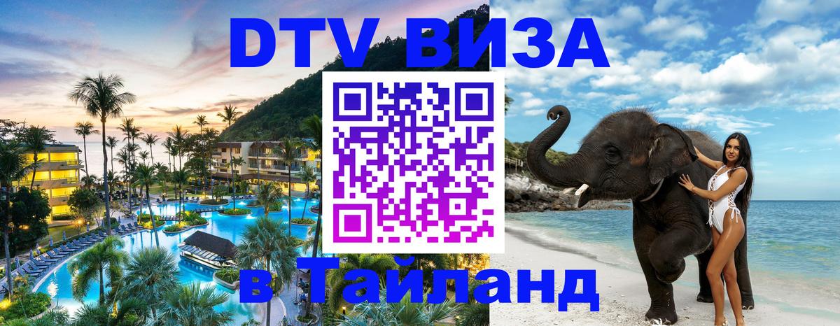 Оформление DTV визы под ключ: стоимость и тарифы, только загранпаспорт - 