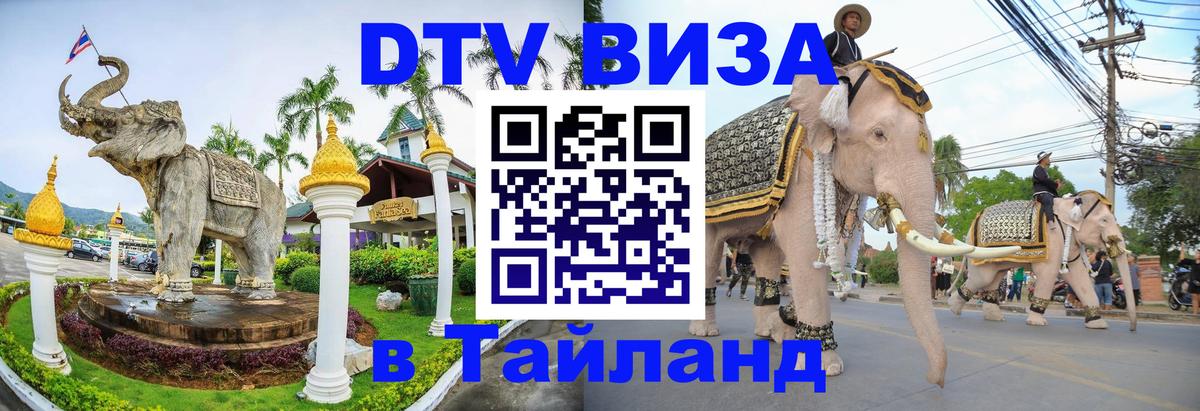 Оформление DTV визы под ключ: стоимость и тарифы, только загранпаспорт - 20.11.2025 